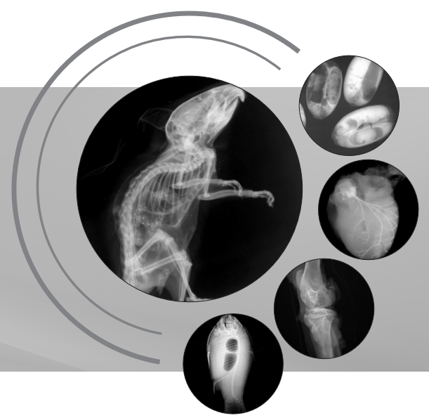 生命科學研究、小動物、種子檢測