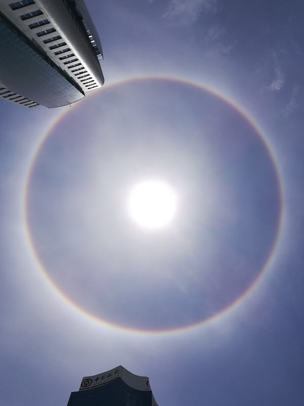 生活類 潘太增—太陽光韻_副本.jpg