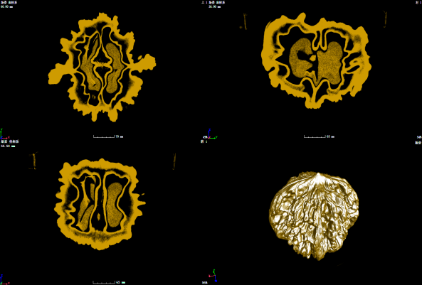 圖片8.png 圖片8.png